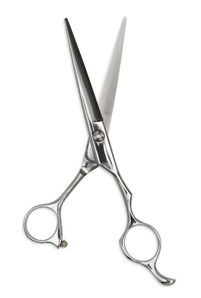 Salon Scissors